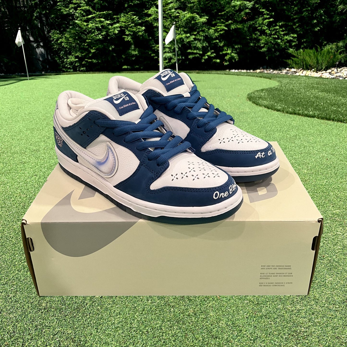 Nike SB Dunk Low Born x Raised 'One Block at a Time'