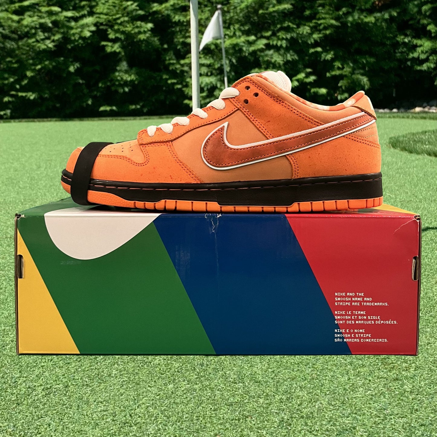 Nike SB Dunk Low Concepts Orange Lobster