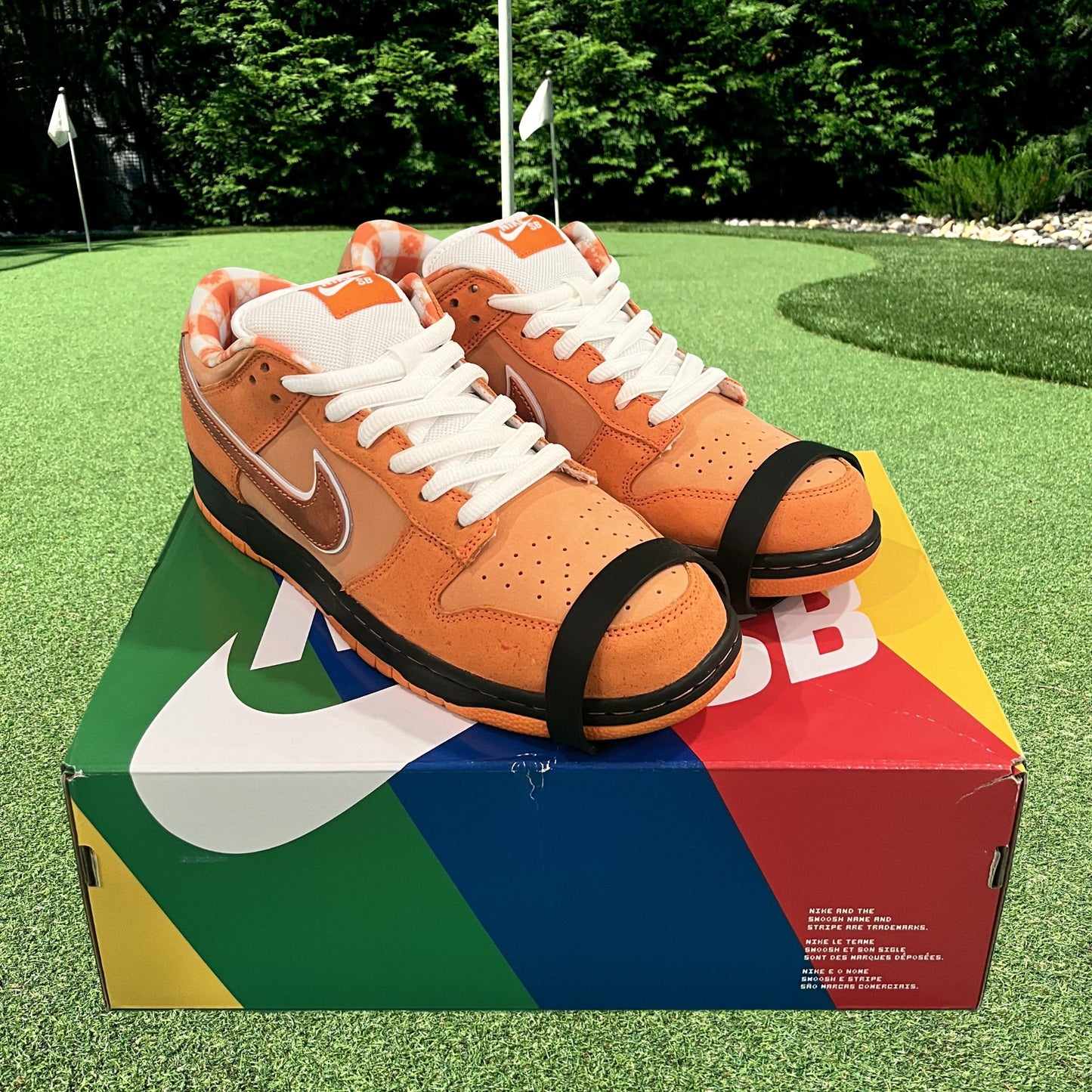 Nike SB Dunk Low Concepts Orange Lobster