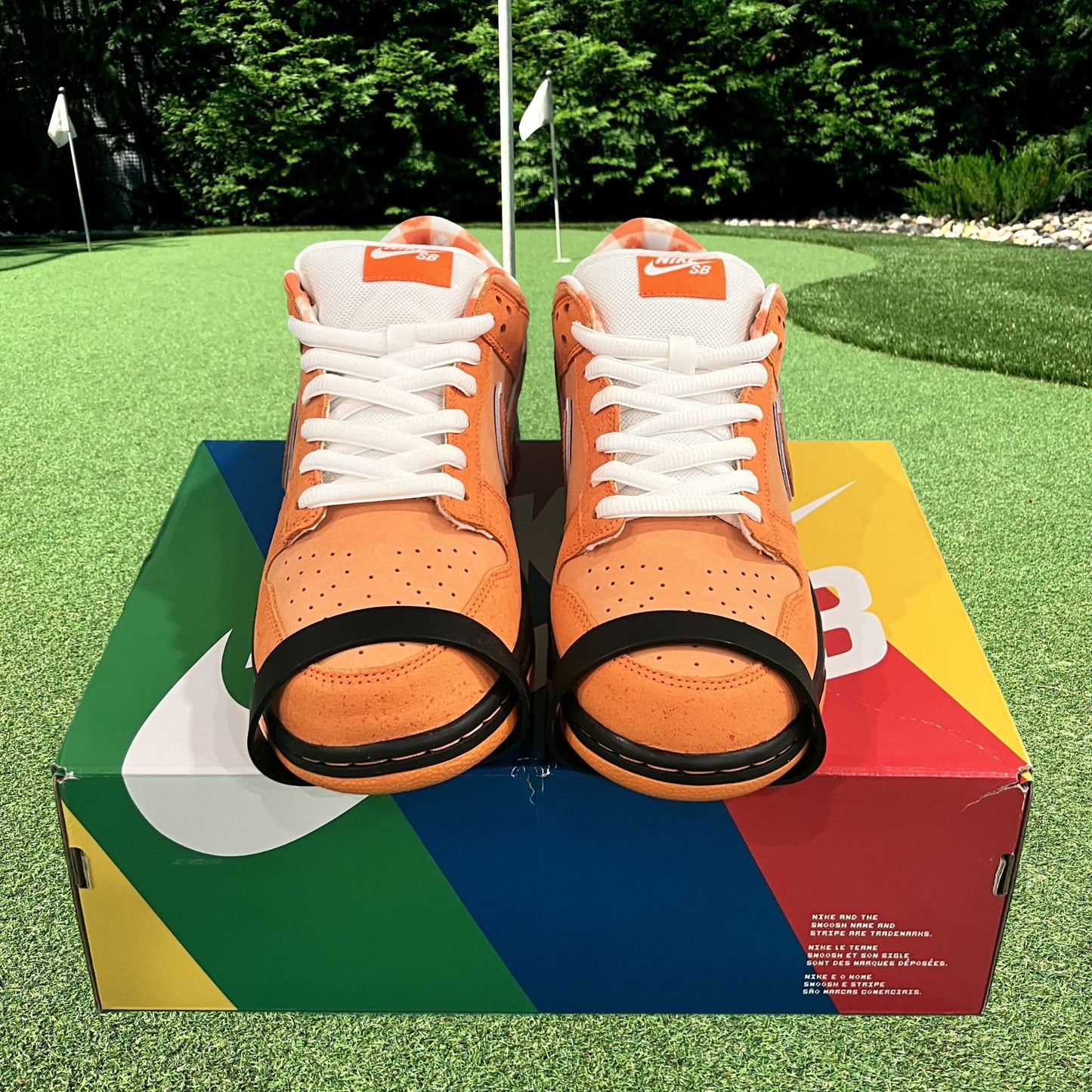 Nike SB Dunk Low Concepts Orange Lobster