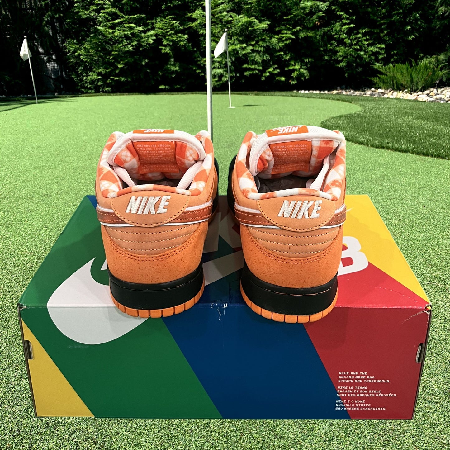 Nike SB Dunk Low Concepts Orange Lobster