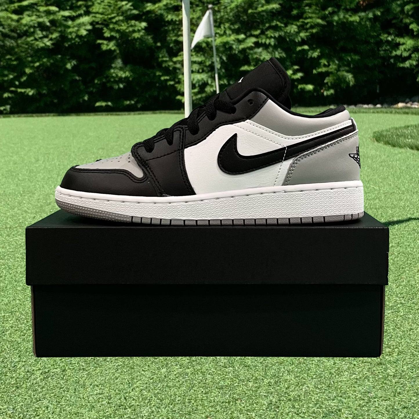 Air Jordan 1 Low Light Smoke Grey