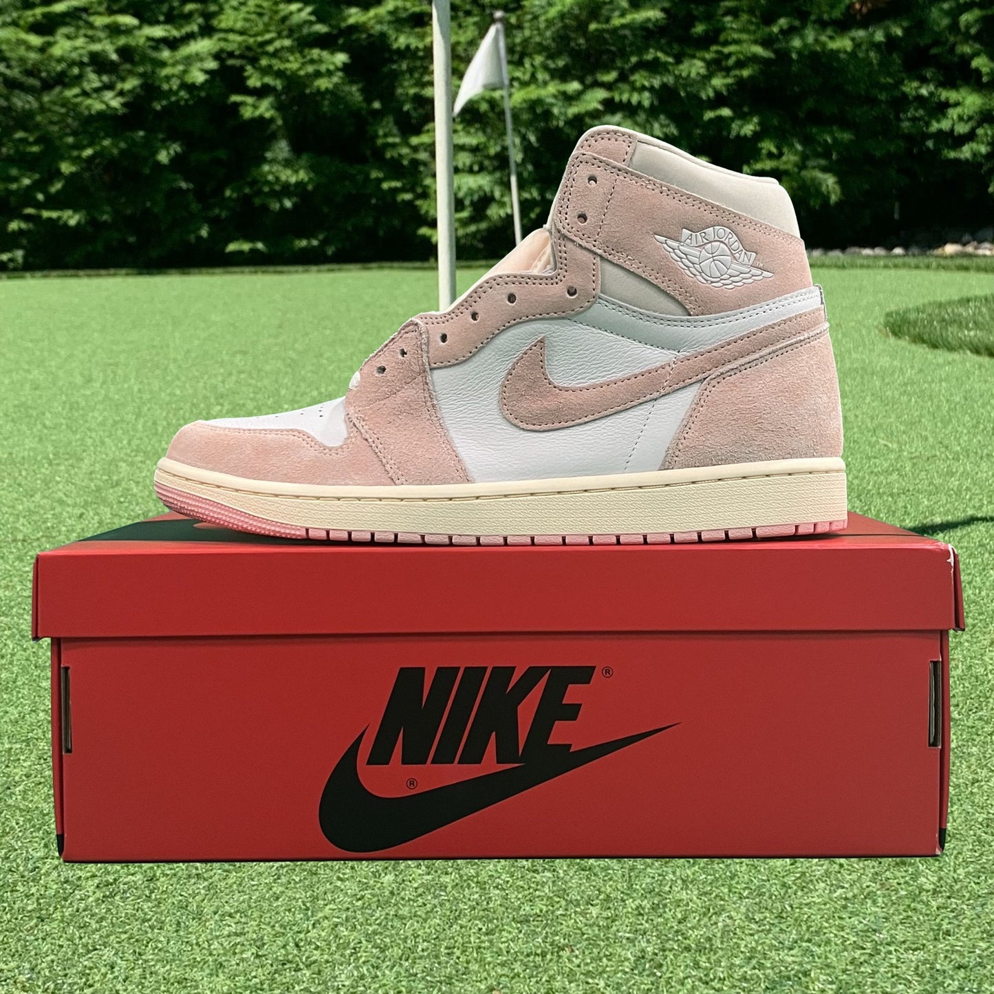 Air Jordan 1 Retro High OG Washed Pink