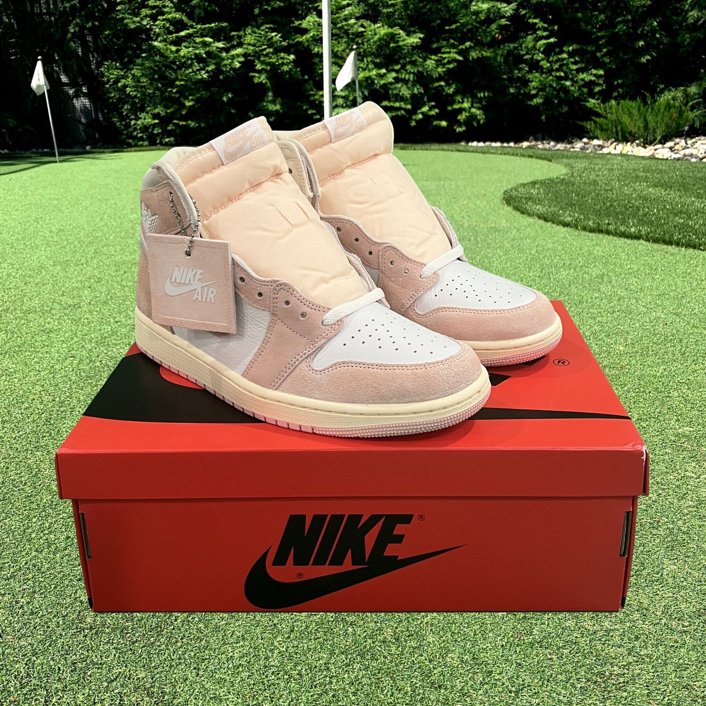 Air Jordan 1 Retro High OG Washed Pink