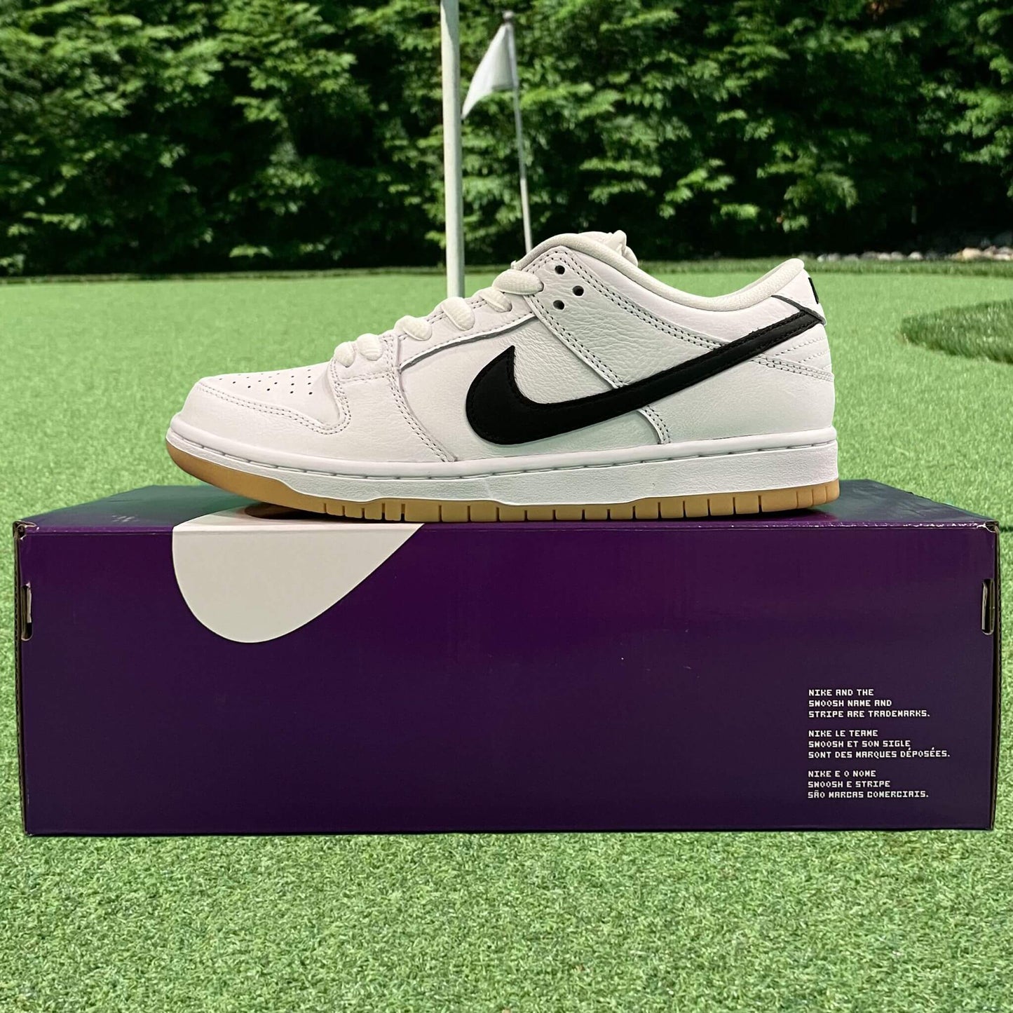 Nike SB Dunk Low White Gum