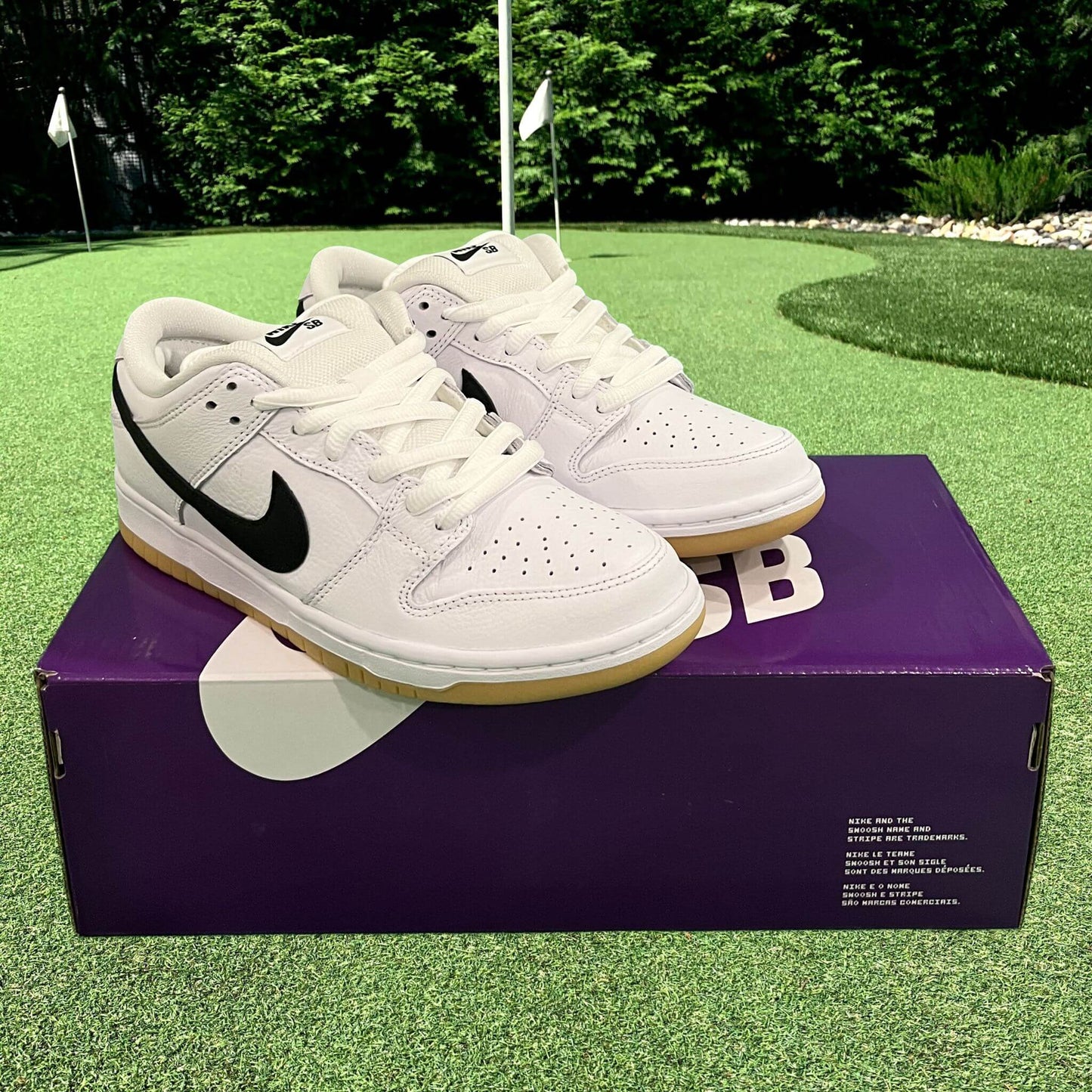 Nike SB Dunk Low White Gum