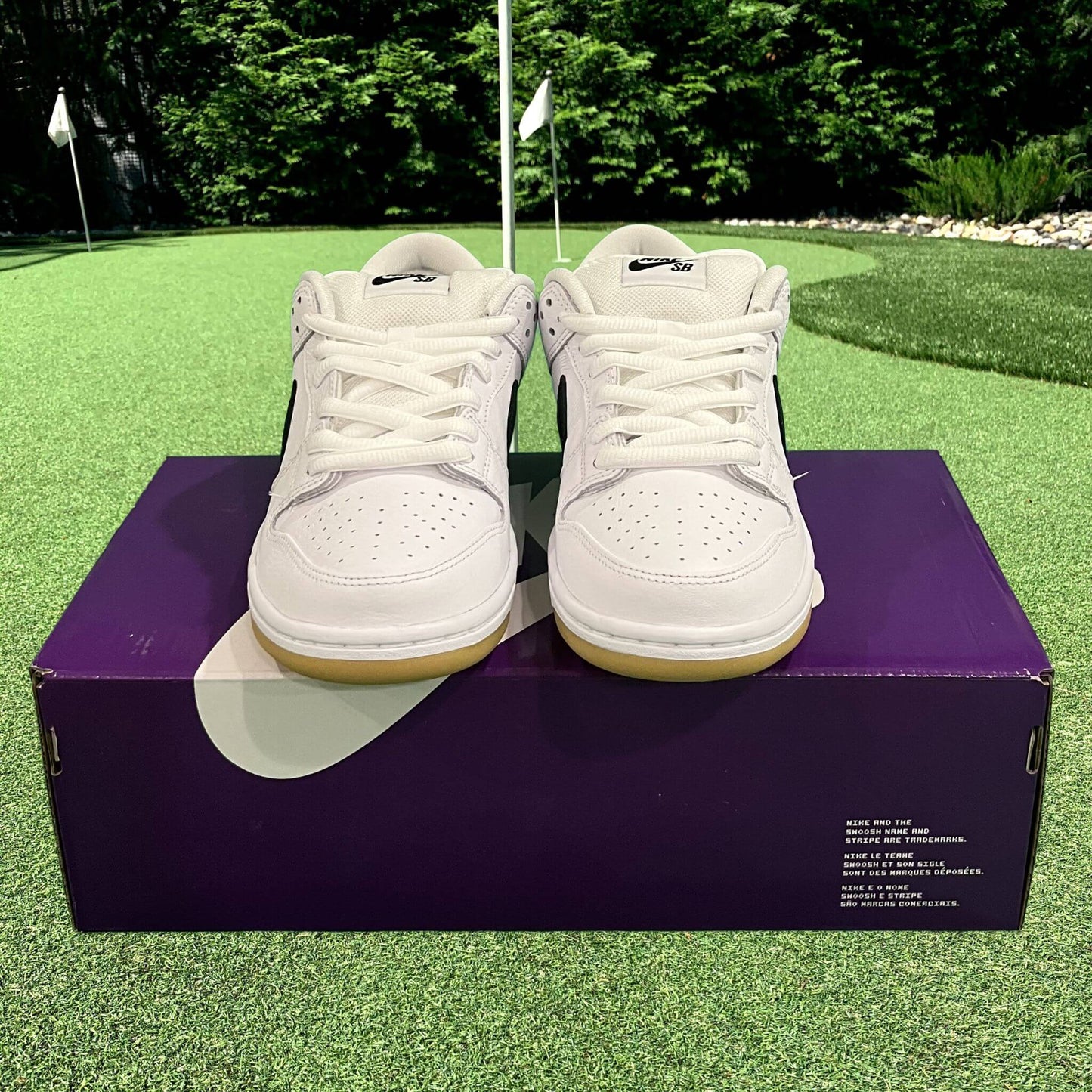 Nike SB Dunk Low White Gum