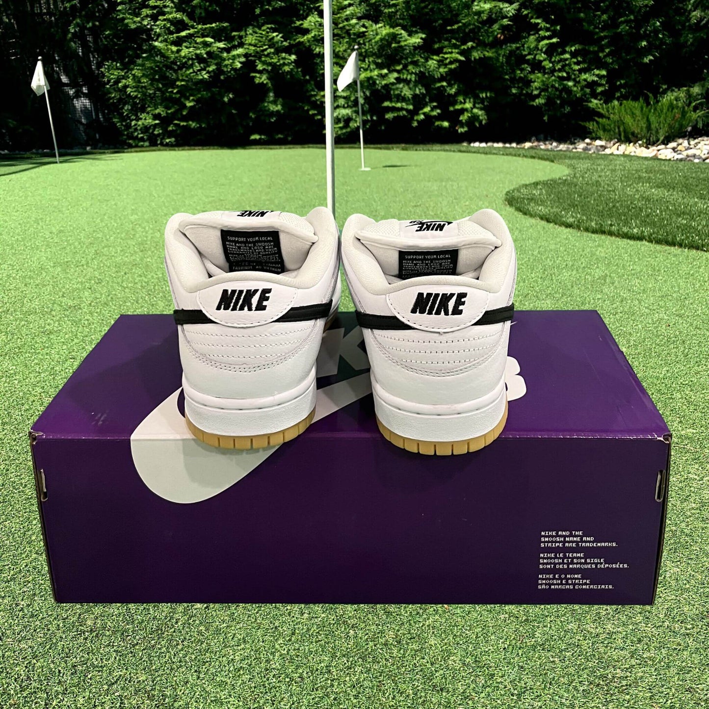 Nike SB Dunk Low White Gum