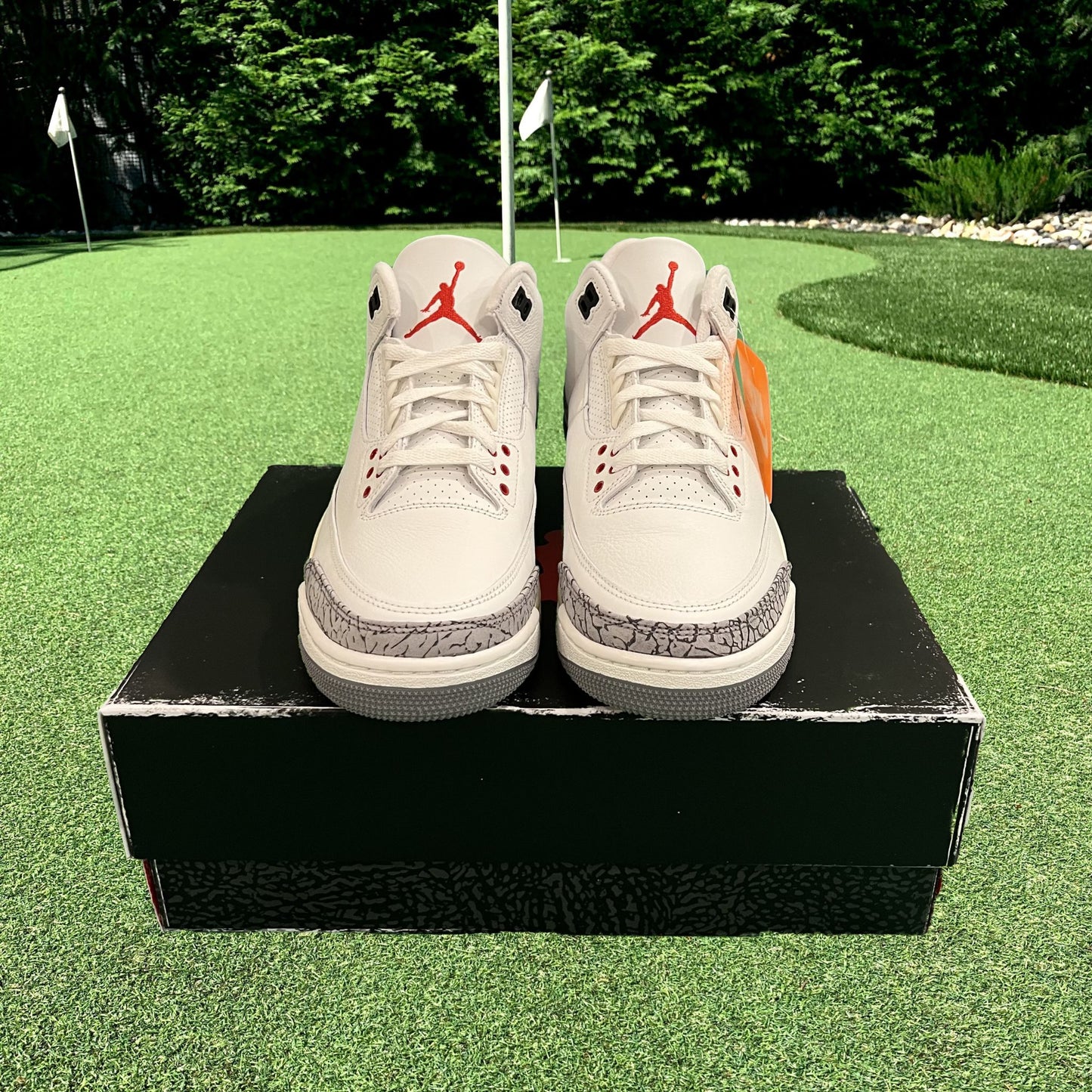 Air Jordan 3 Retro White Cement Reimagined