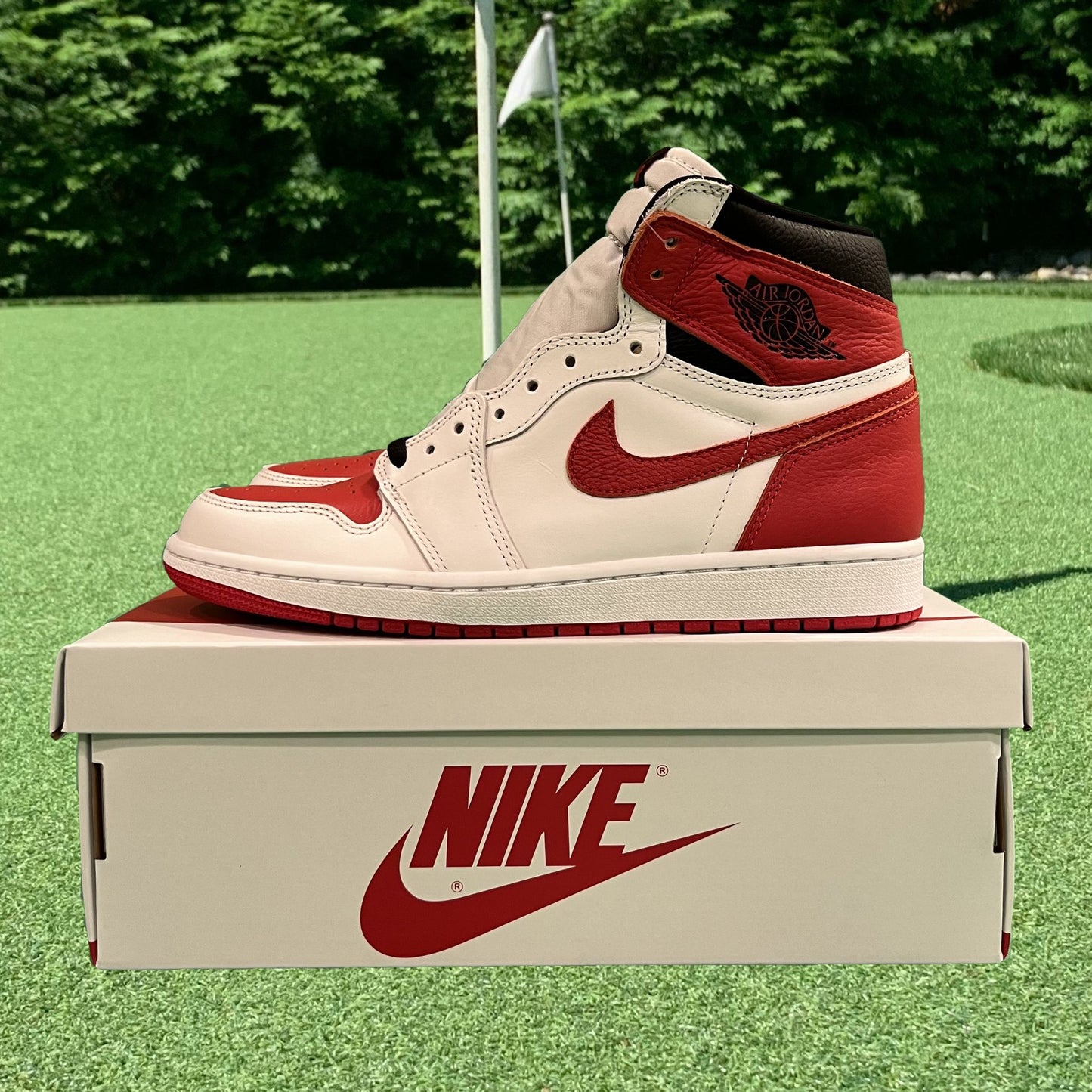 Air Jordan 1 Retro High OG Heritage