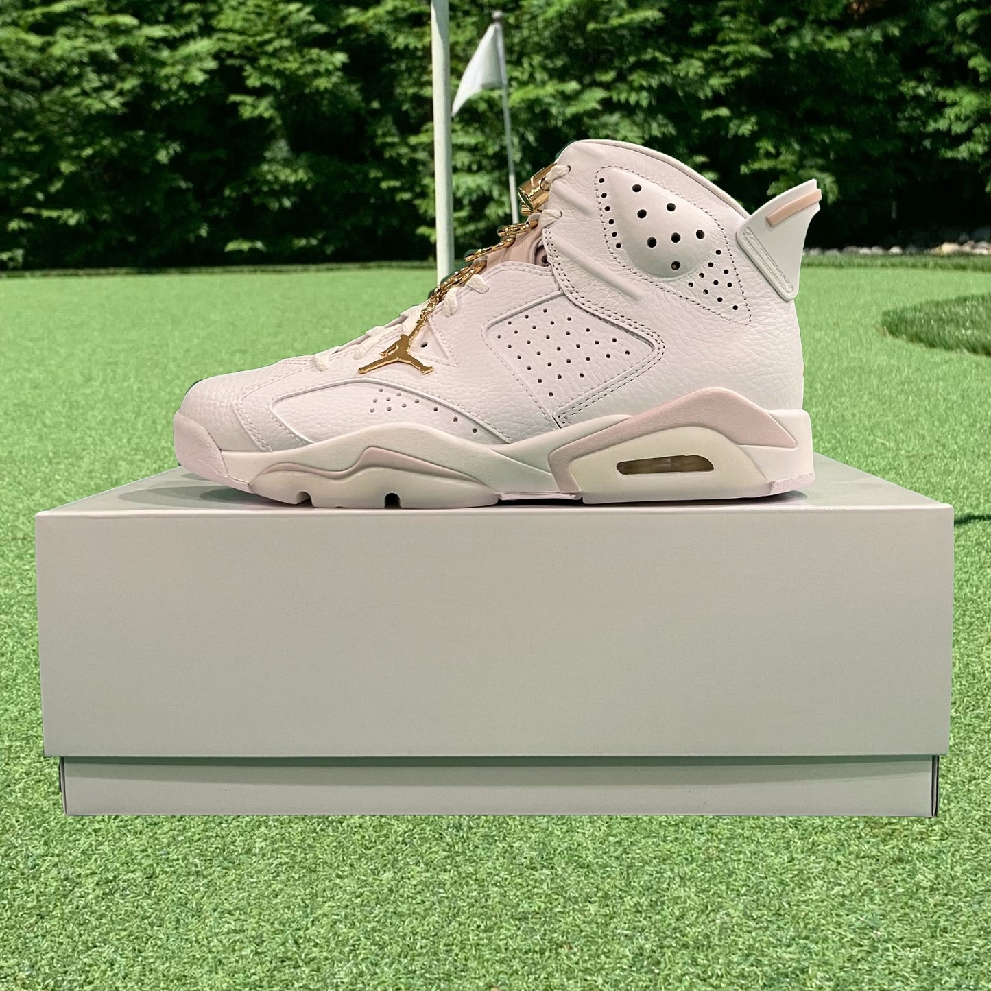 Air Jordan 6 Retro Gold Hoops
