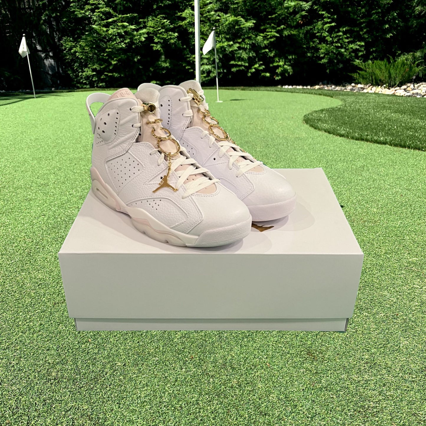 Air Jordan 6 Retro Gold Hoops