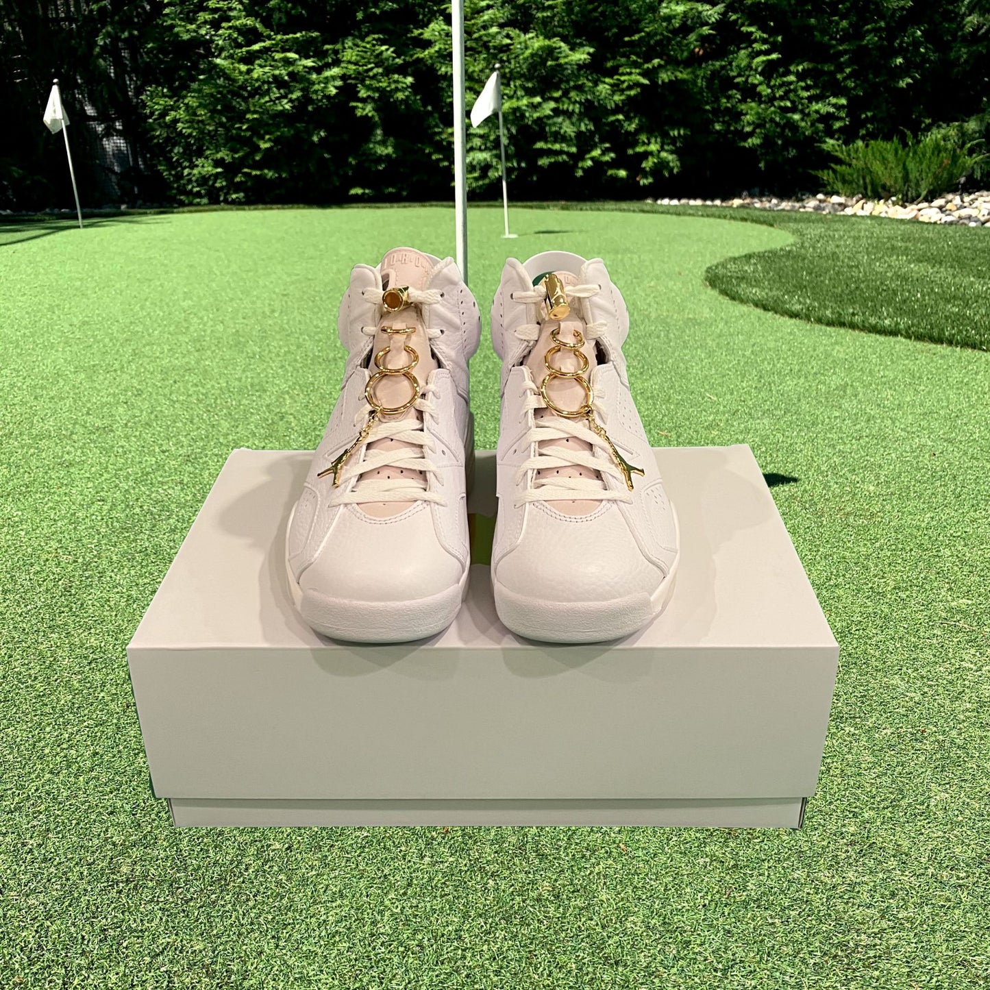 Air Jordan 6 Retro Gold Hoops