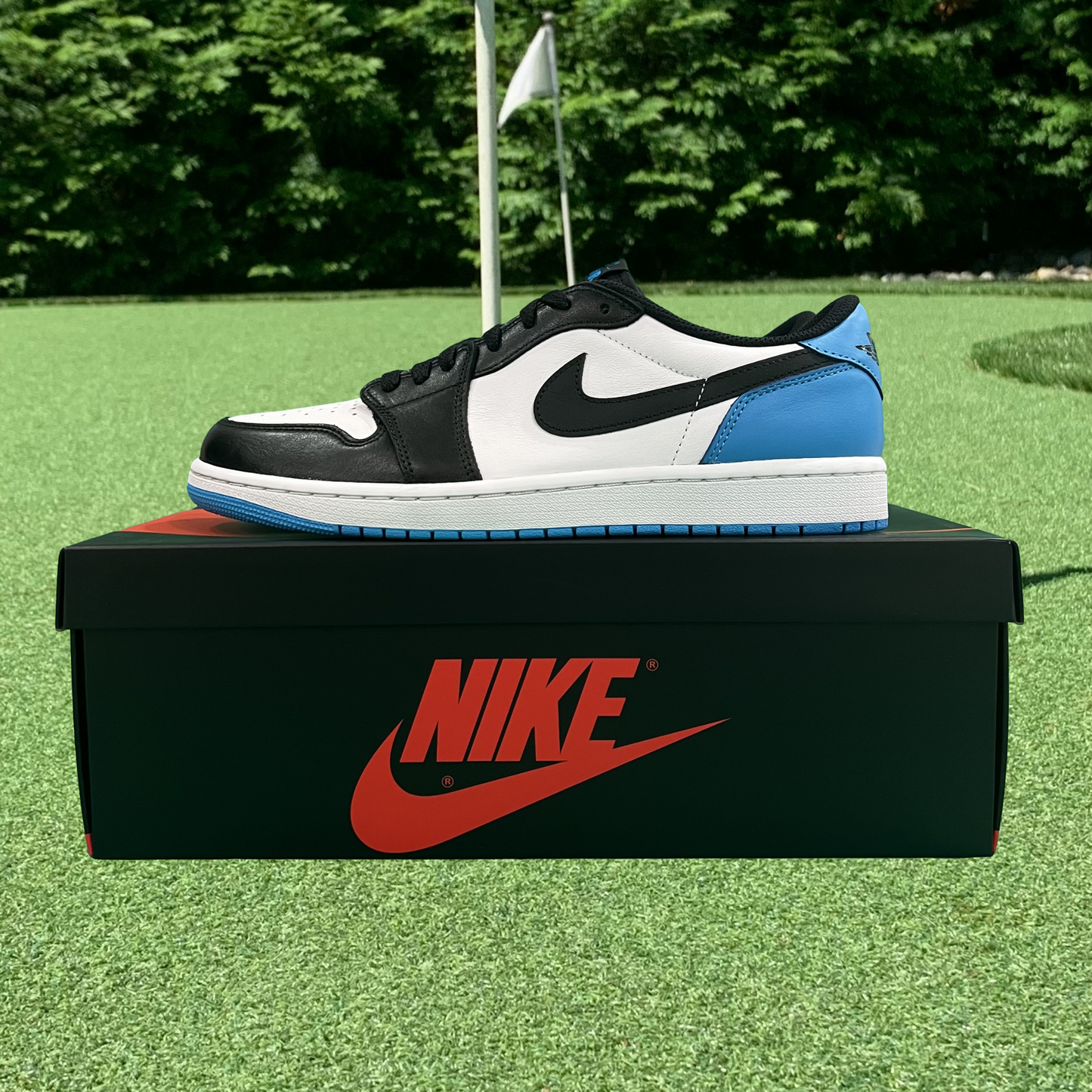Air Jordan 1 Retro Low OG UNC