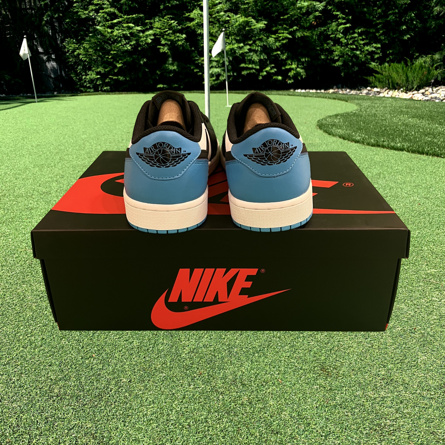 Air Jordan 1 Retro Low OG UNC